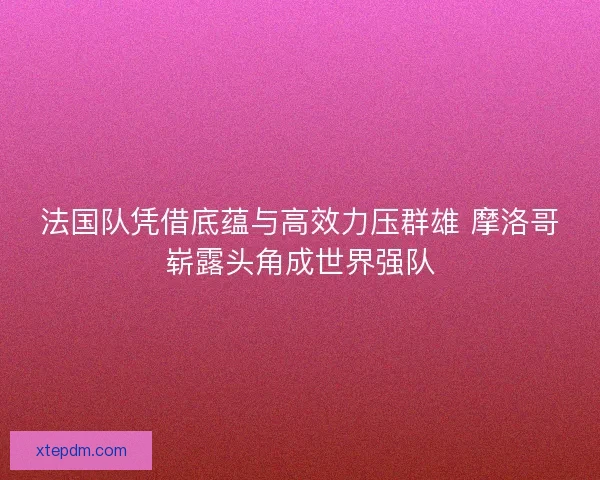法国队凭借底蕴与高效力压群雄 摩洛哥崭露头角成世界强队